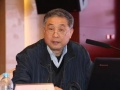 王勃華：全球光伏市場呈去中心化形式 中國應警惕產能過剩
