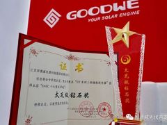 固德威儲能逆變器斬獲太瓦級鉆石獎，2019SNEC完美收官！