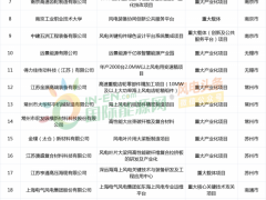 整機、齒輪、軸承、葉片等產業鏈全覆蓋！江蘇這份文件推動風電裝備產業加速騰飛！