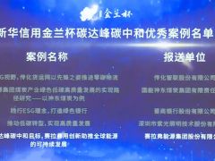 實至名歸！賽拉弗榮膺“新華信用金蘭杯”ESG優秀案例獎