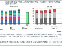 IEA：全球氫能需求今年將達1億噸！中國電解槽產能占八成！
