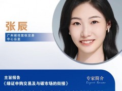 演講嘉賓|廣州碳排放權交易中心總監張辰 出席廣東工商業光儲市場研討會