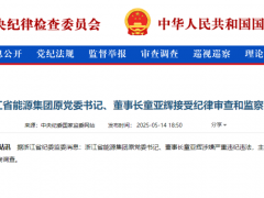 主動投案！又一能源領域“老虎”被查