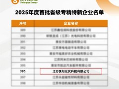 高光時刻 | 陽光能源悅陽基地榮膺2025年度首批省級專精特新企業