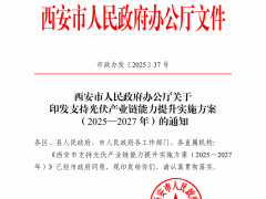 八大方面給予高額獎補！陜西西安出臺支持光伏產業鏈能力提升實施方案
