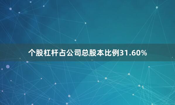 个股杠杆占公司总股本比例31.60%