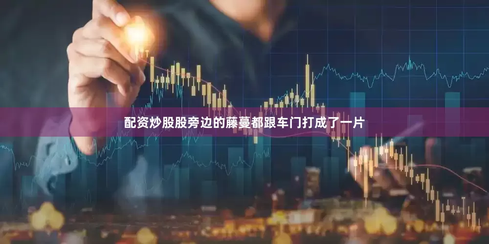 配资炒股股旁边的藤蔓都跟车门打成了一片