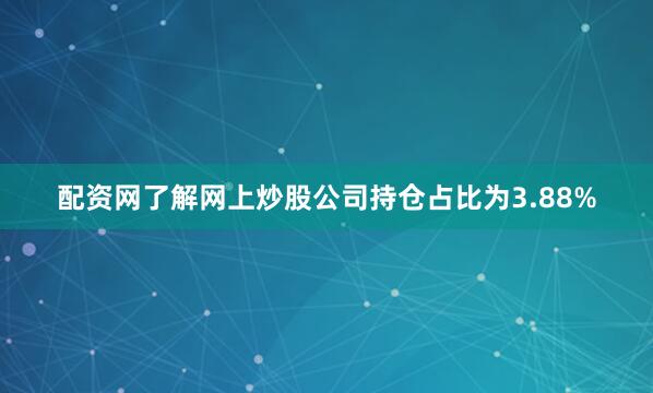 配资网了解网上炒股公司持仓占比为3.88%